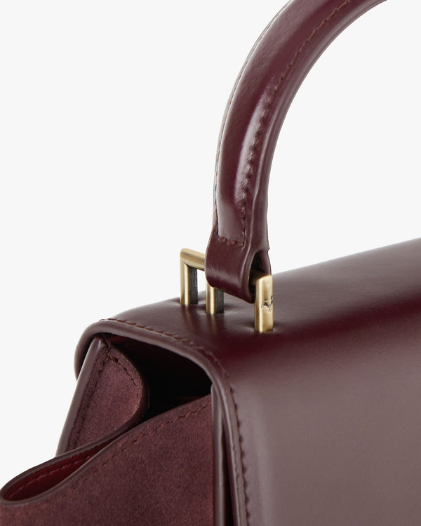 ALEXIA NANO bag in Mahogany, close-up on the handle and gold-tone metal attachment