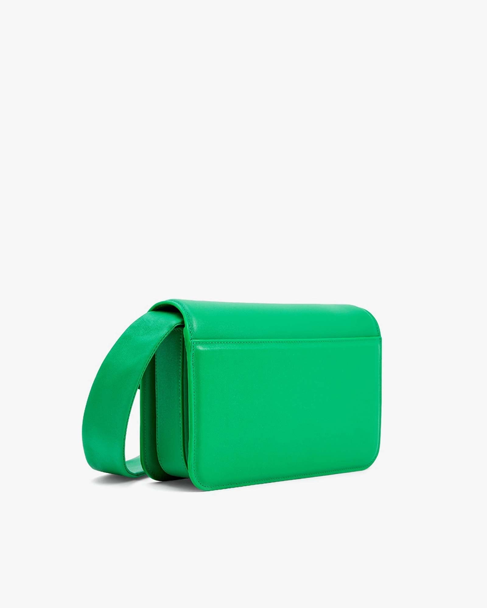 IRIS MOYEN - Grass green