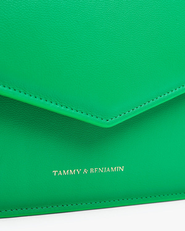 IRIS MOYEN - Vert prairie